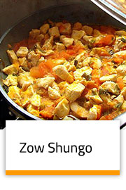 Zow-Shungo