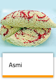 Asmi