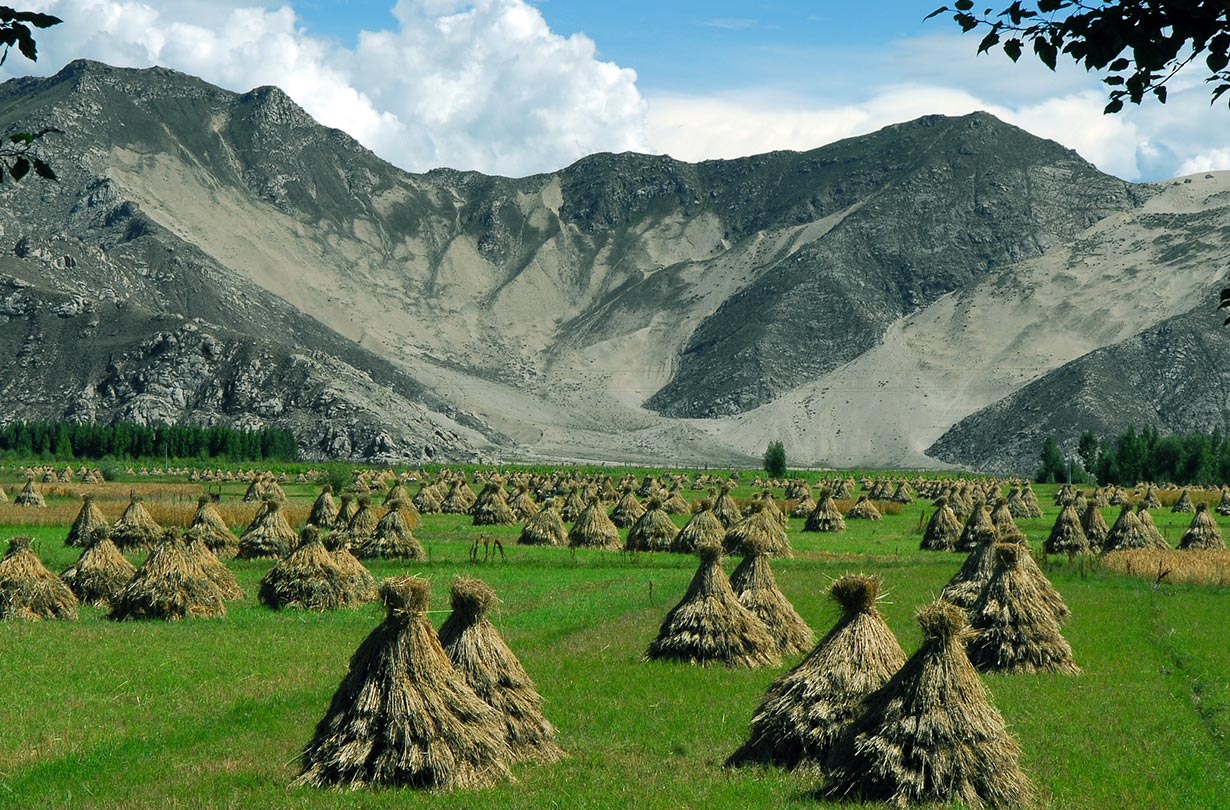 tibet9