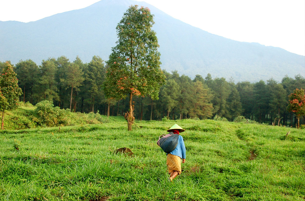 Nepal6