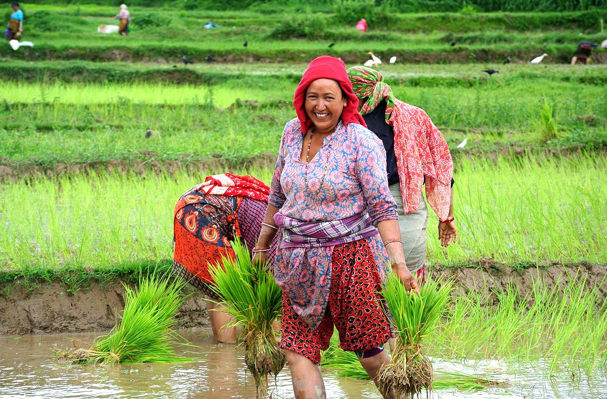 Nepal3